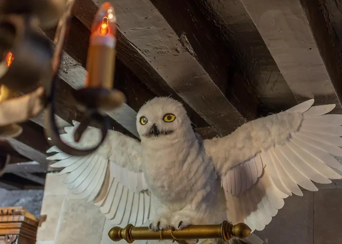 Апартаменты 